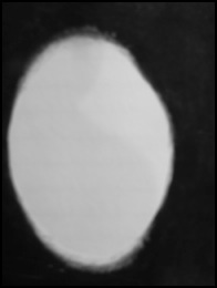 P1080498