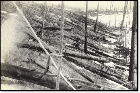 GNP June Tunguska