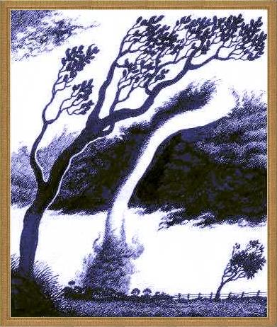 GNP Tornado daysframe