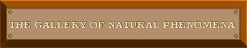 GNP Sign