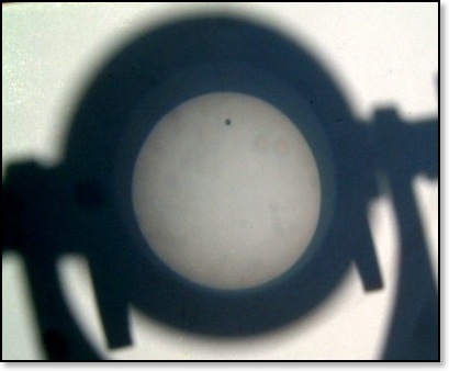 venustransit2004