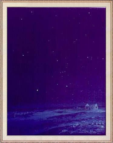 GNP Dungeness Starlight frame
