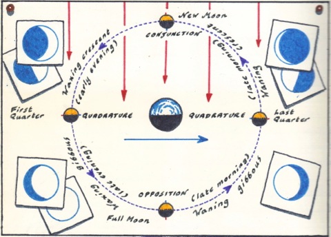 moon phases scan